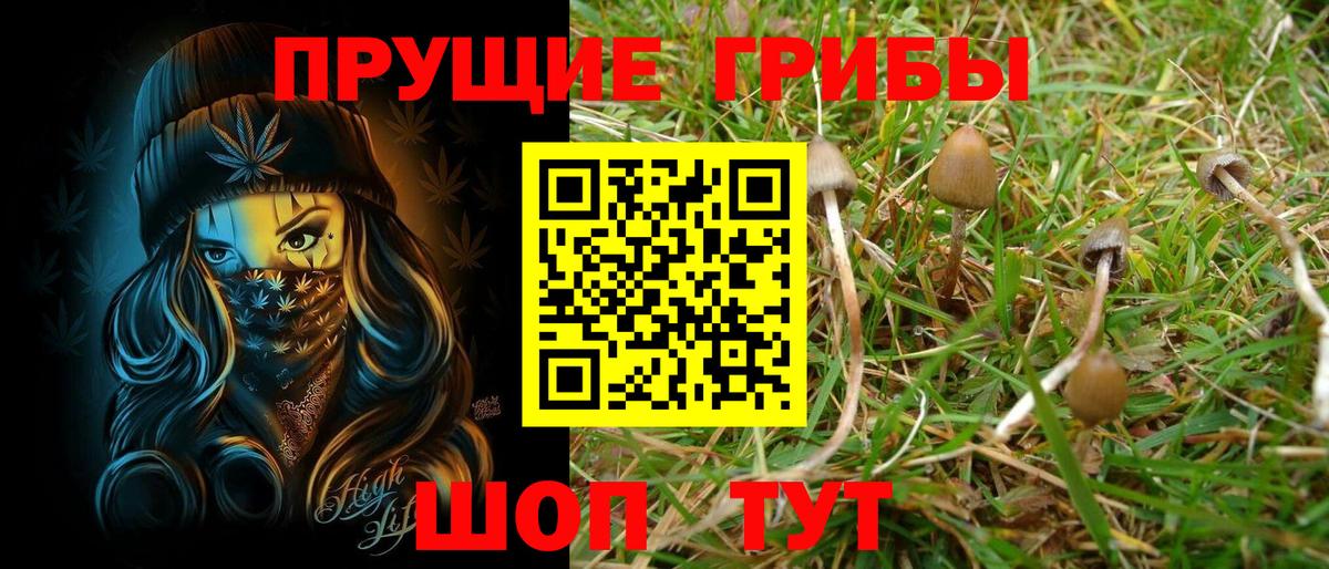 Псилоцибиновые грибы мухоморы  Псилоцибиновые грибы Psilocybine cubensis  Вход с VPN  Усть-Лабинск 